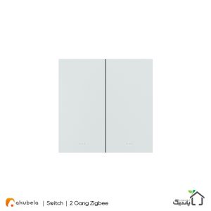 Zigbee key switch 2 gang